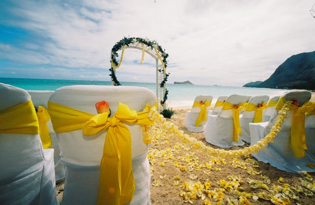 Yellow plumeria | wedding setup photos of beach hawaii set up